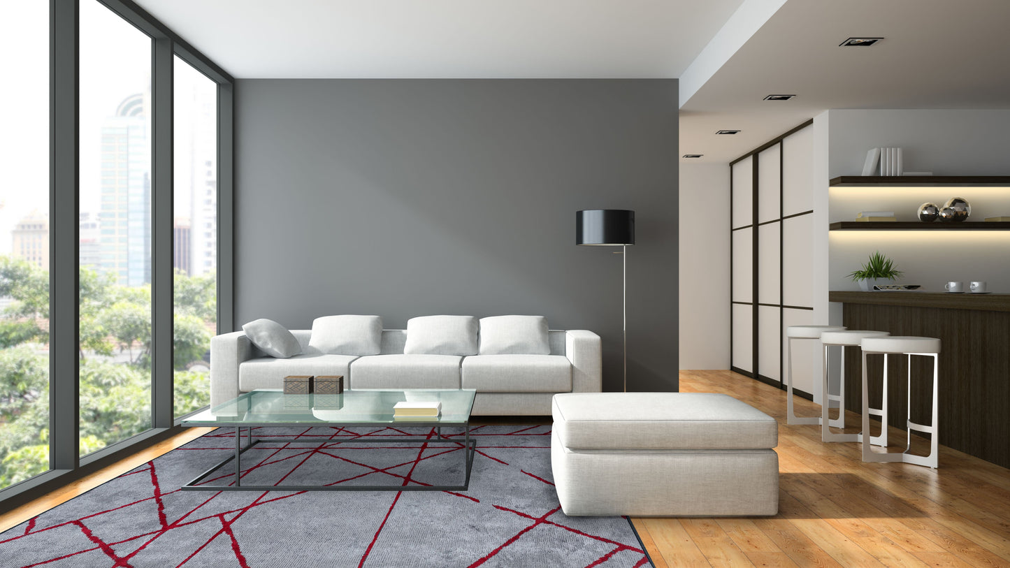 Grid Light Grey - Red Rug